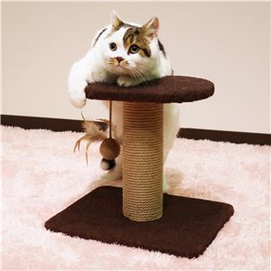 キャティーマンモダンルーム 寝ころびベッド 3個セット