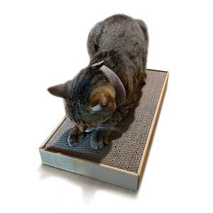 ねこがくれ ねこちゃんのつめみがき ワイド 詰め替え 2P 2個セット (猫用玩具/爪磨き)