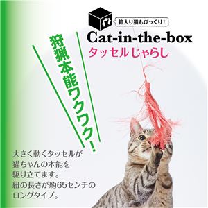 Cat-in-the-box タッセルじゃらし パープル 5個セット (猫用玩具)