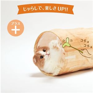 キャットトンネルスパイラル 木目柄 12個セット
