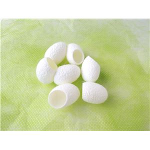まゆ歯みがき じゃらし 5個セット （猫用玩具）