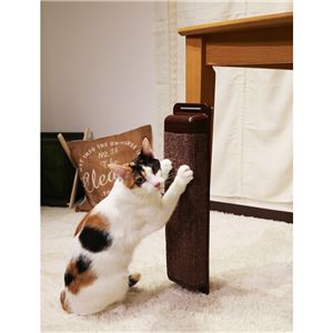 モダンルーム ハッスルスクラッチ 2個セット (ペット住関連用品/ケイジ・サークル/猫用タワー)