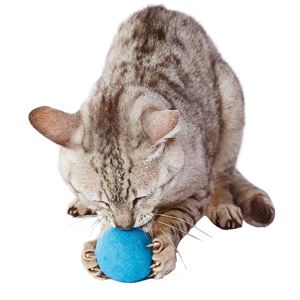 大好きブルーの大きなウールボール 6個セット (猫用玩具)