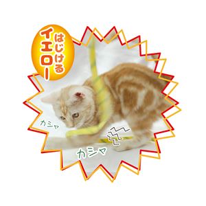 カシャカシャひもじゃらし イエロー 3個セット (猫用玩具)