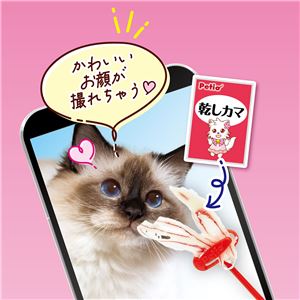 猫用おもちゃ ペティオのおいしい猫じゃらし 12個セット