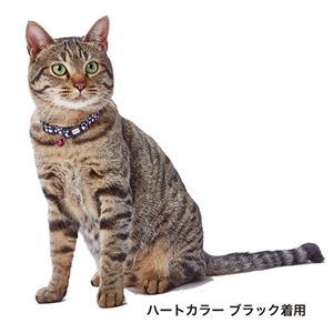 CAT COLLAR ボーダードットカラー ピンク 5個セット (猫用品/首輪)