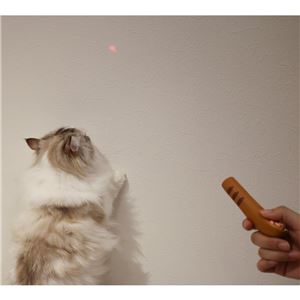 キャティーマンじゃれ猫 LEDニャンだろ～？！光線 茶トラ 6個セット