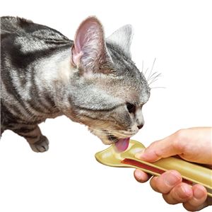 デカ皿スプーン 猫用金 5個セット