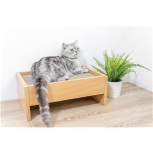 キャットベッド 本体 つめみがき付き