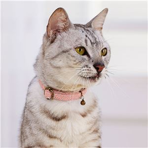 フラッシュソフトキャットカラー ピンク 3個セット (猫用品/首輪)