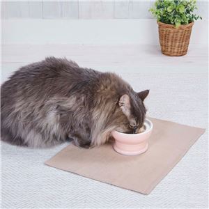 猫用食器 necoco 愛猫が食べやすい 脚付き食器 ウェットフード向き