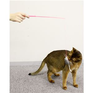 キャティーマンじゃれ猫 チューチュー 12個セット