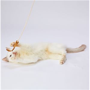 necoco レザー猫じゃらし ヒモ付きレザー 5個セット (猫用玩具)
