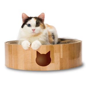 猫壱 バリバリボウル 猫柄 5個セット