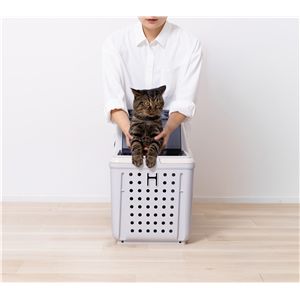 リッチェル キュービックルーム グレー 犬