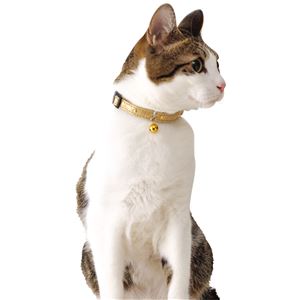 CAT COLLAR ゴージャスカラー ゴールド 3個セット (猫用品/首輪)