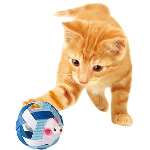 にゃんこたいむ ころころボール マウスとビーズ 5個セット (猫用玩具)