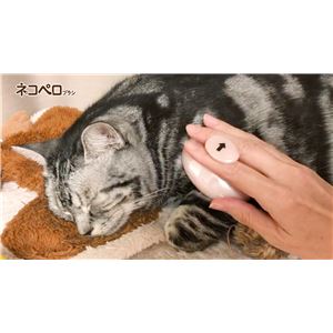 ペットキレイ ごきげんケア ネコペロブラシ 5個セット