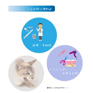 キャットマズル S 2個セット