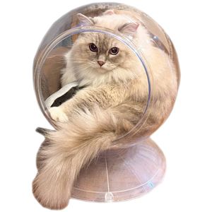 ドギーマンハヤシ Clear spot ペット住関連用品
