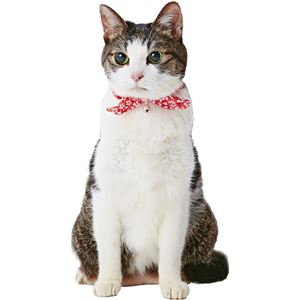 猫小町シュシュ 桜 レッド 3個セット