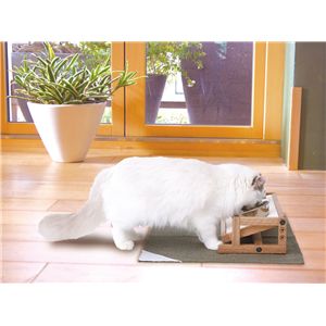 ペティオ necoco 高さと角度を変えられるウッディキャットテーブル 犬