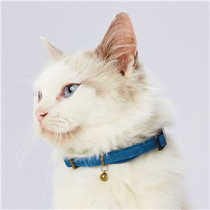 necoco キャットカラー ブルー 3個セット (猫用品/首輪)