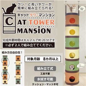 CAT TOWER MANSiON