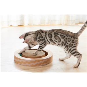 ニャンコロビー サークルタイプ 2個セット