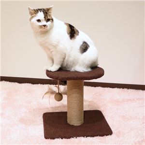 キャティーマンモダンルーム 寝ころびベッド 3個セット