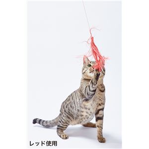 Cat-in-the-box タッセルじゃらし パープル 5個セット (猫用玩具)