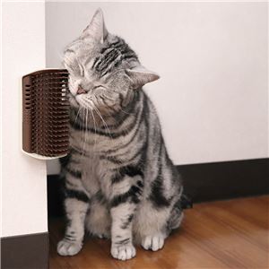 ねこすりグルーミング 3個セット