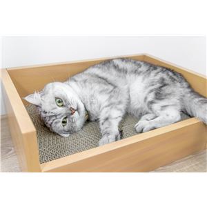 キャットベッド 本体 つめみがき付き