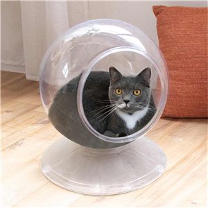 ドギーマンハヤシ Clear spot ペット住関連用品