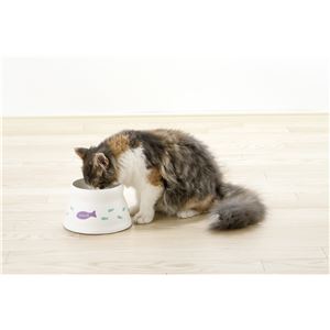 こぼれにくい 脚付キャットディッシュ S ホワイト 10個セット