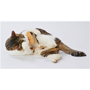 CAT TOY もじゃっとチューチュー 5個セット (猫用玩具)