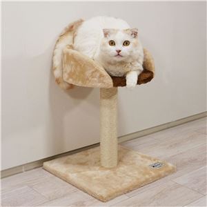 ねこがくれ ねこちゃん大好き爪とぎ キャットタワー スタンド 2個セット