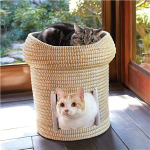 にゃんこのちぐらシリーズ なかよし2段ちぐら 夢 (ペット住関連用品/ベット)