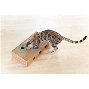 ニャンコロビー ボックスタイプ 2個セット