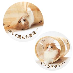 キャットトンネルスパイラル 木目柄 12個セット