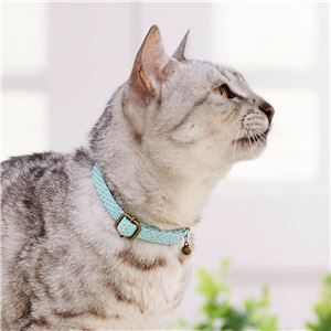 フラッシュソフトキャットカラー ブルー 3個セット (猫用品/首輪)