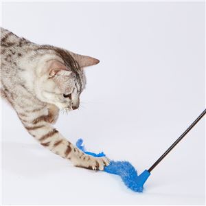 大好きブルーの猫じゃらし テール＆フェザー 5個セット (猫用玩具)