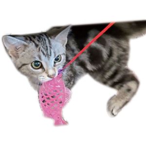仔猫用 はがためフィッシュ猫じゃらし 5個セット (猫用玩具)