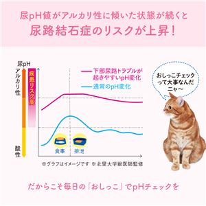大王製紙 キミおもい おしっこチェックできる 固まる紙のネコ砂 5L （猫 衛生用品／猫砂） 2個セット