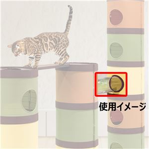 CAT MANSiON 空中散歩 スカイトンネル