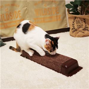 モダンルーム ハッスルスクラッチ 2個セット (ペット住関連用品/ケイジ・サークル/猫用タワー)