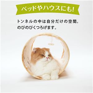 キャットトンネルスパイラル 木目柄 12個セット