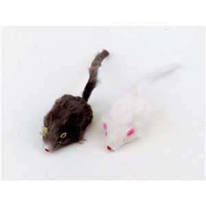 キャティーマンネズミごっこ 2個 12個セット