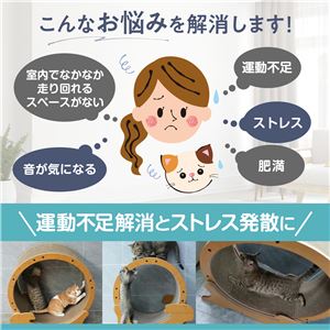 HappyDays キャットランニングマシン L 猫用玩具