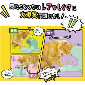 にゃんこのでるでる自飯器